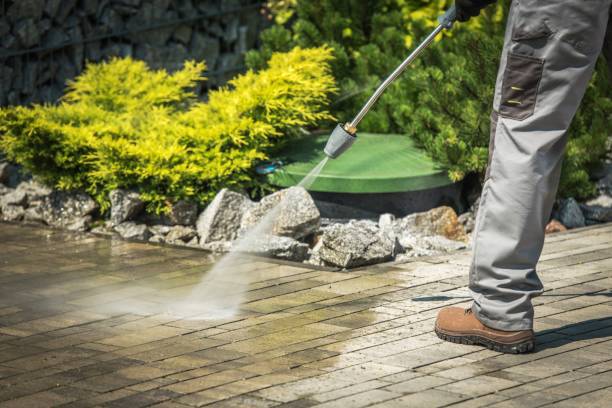 Best Building Exterior Washing  in Clifton Gardens, NY