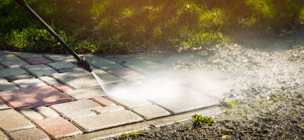 Best Graffiti Removal  in Clifton Gardens, NY